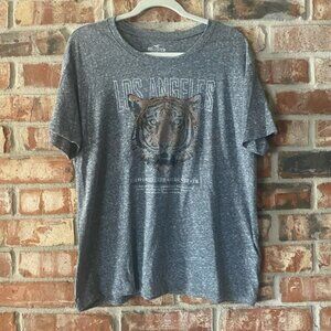 Hollister 🐯 Tee